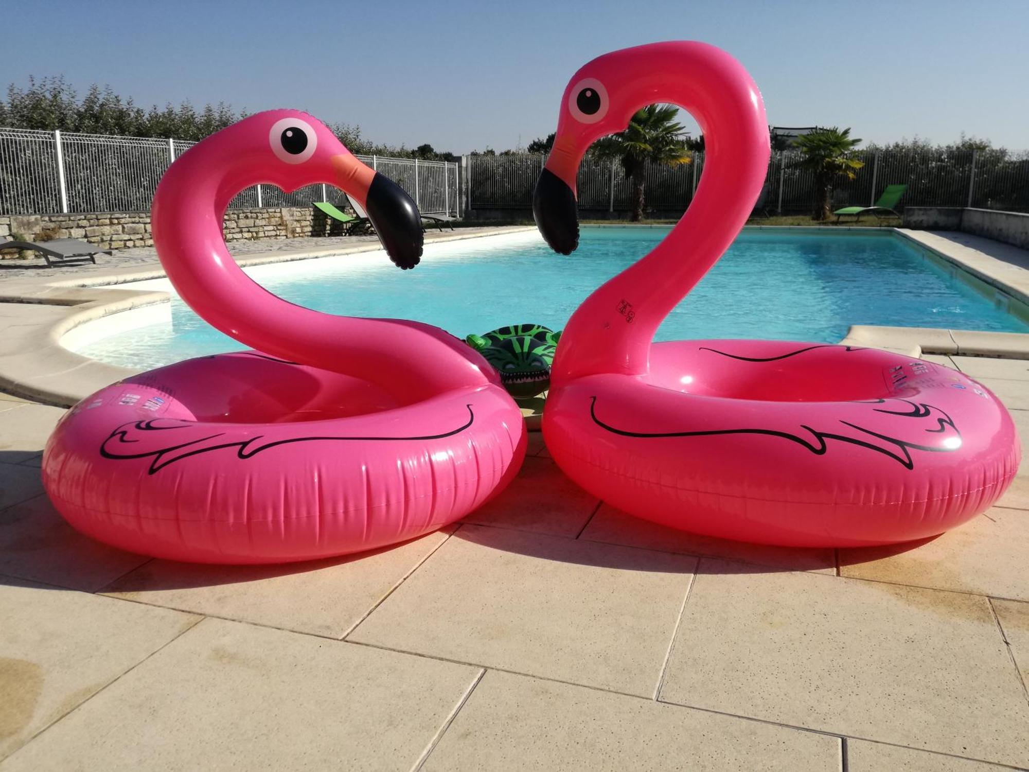 אסניירס-לה-גיראוד Domaine De La Laigne - Spa מראה חיצוני תמונה